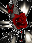 pic for blooded rose